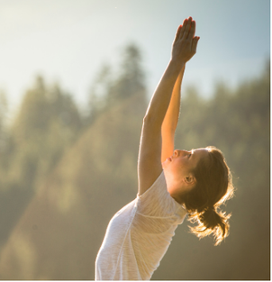 4R Wellness Online